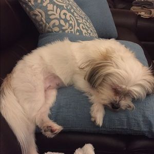 Meet your Posher, Delores